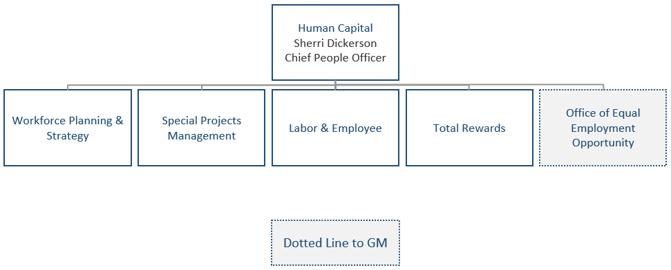 Organization Chart Human Capital