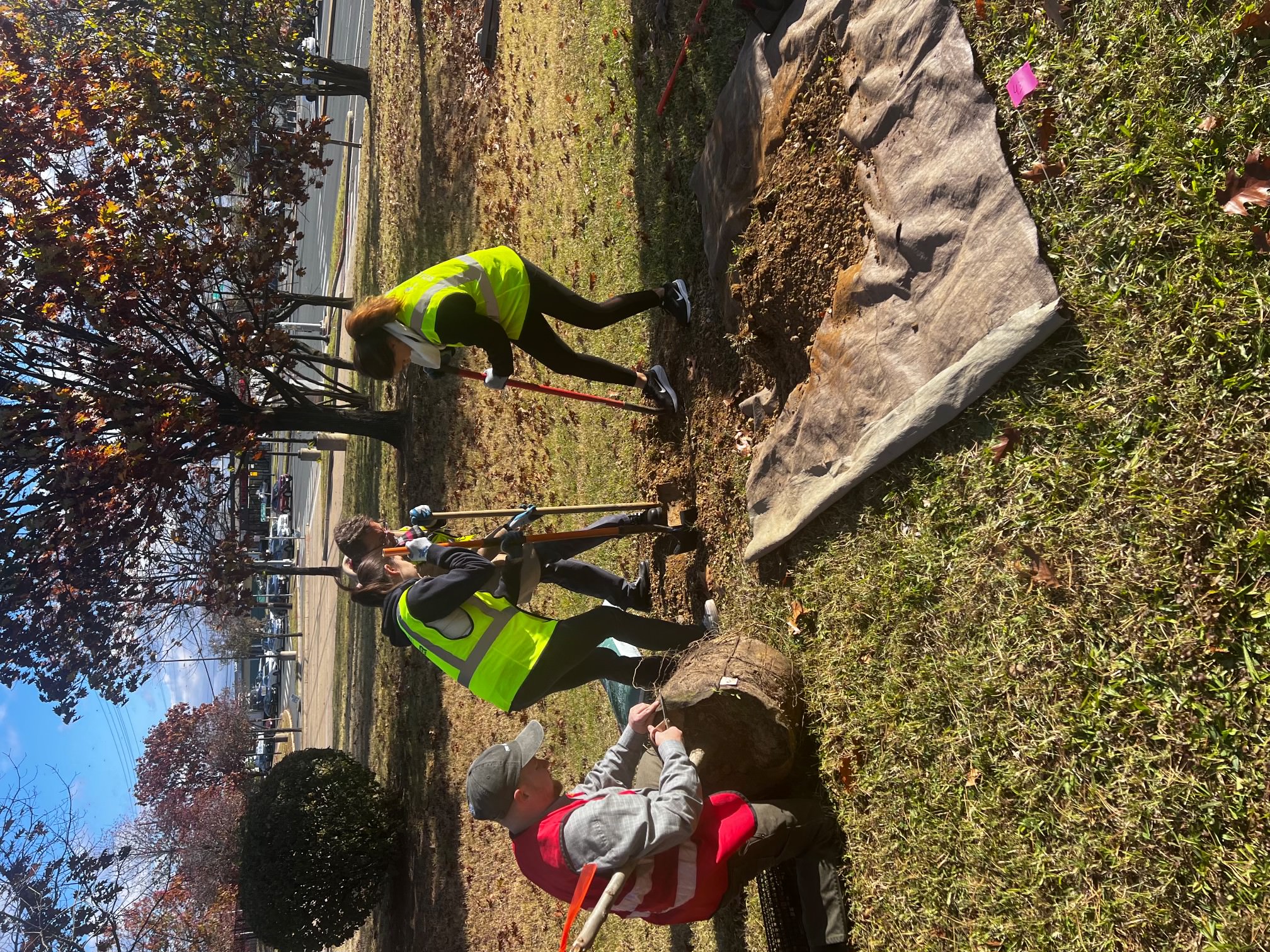 tree planting