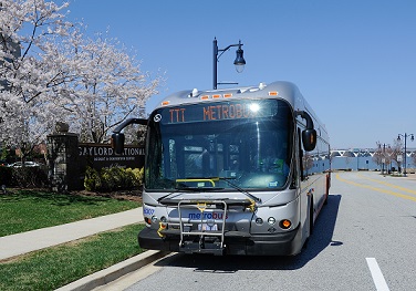 National Pilot Bus Services