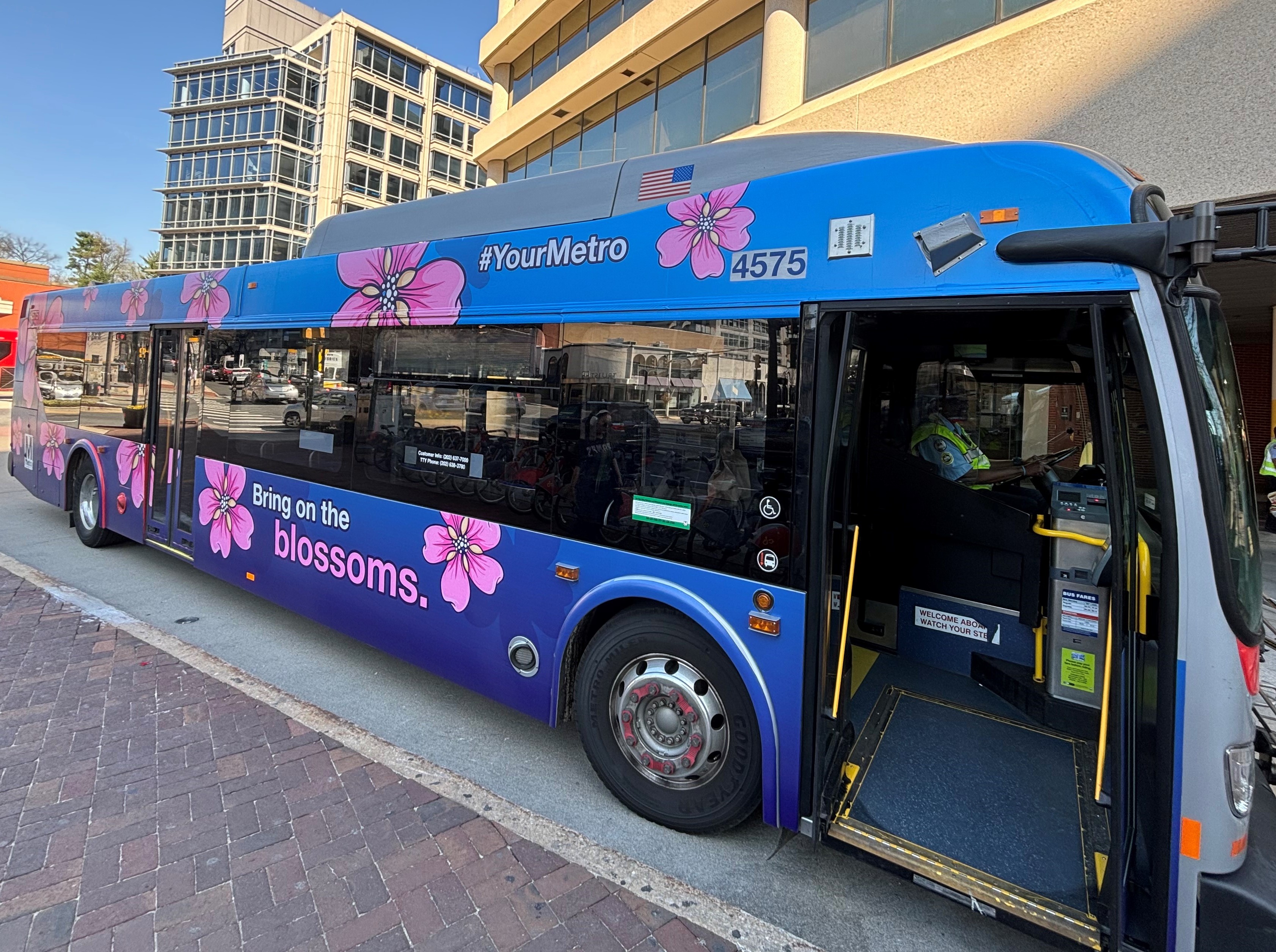 Cherry Blossom Bus