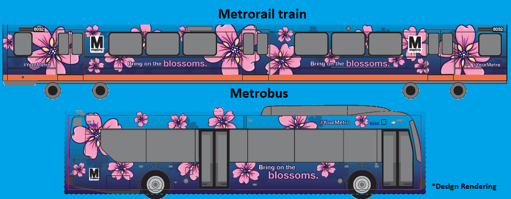 Rendering 2024 Cherry Blossom wrapped buses train