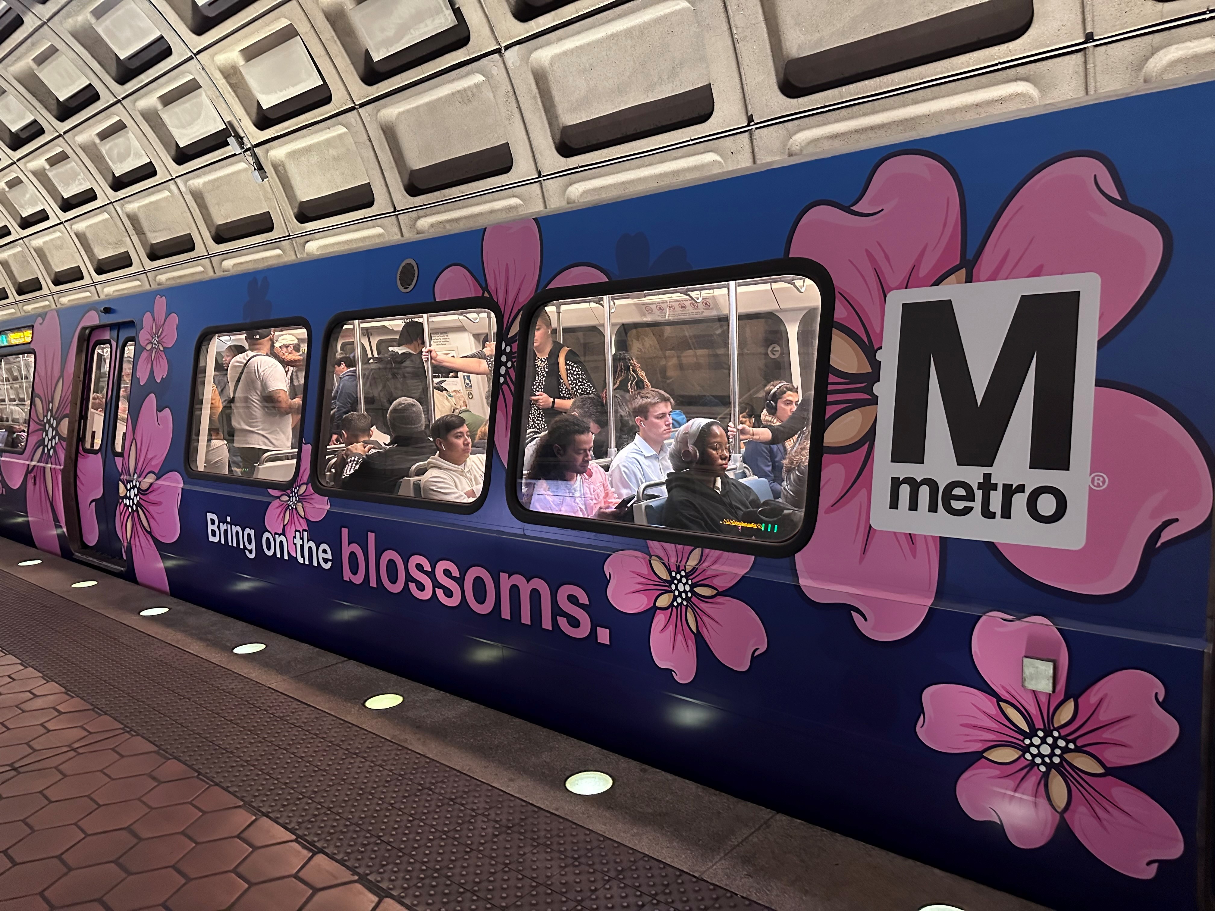 2024 Cherry Blossom Train