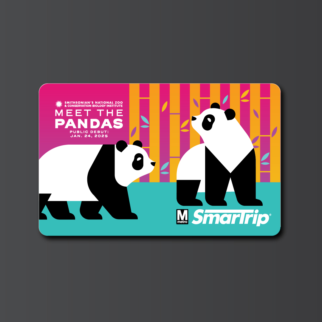 Graphic with two giant pandas Graphic with two giant pandas