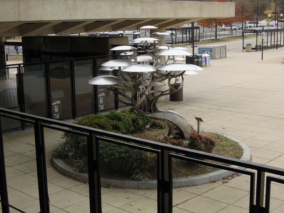 Robert Cole – Pod Trees for Naylor