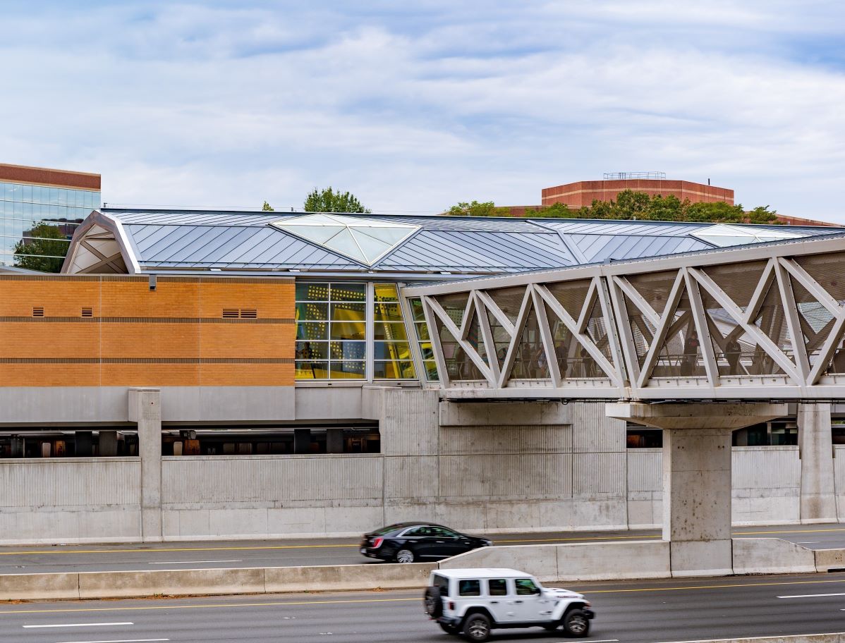 David Wilson – Untitled