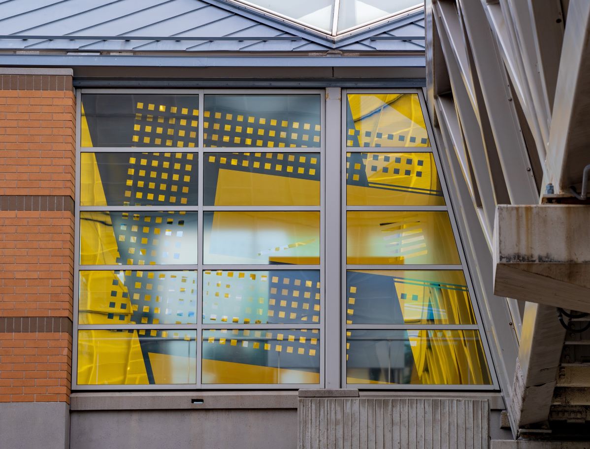 David Wilson – Untitled