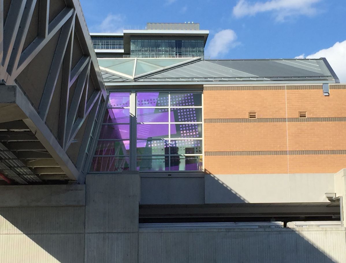 David Wilson – Untitled