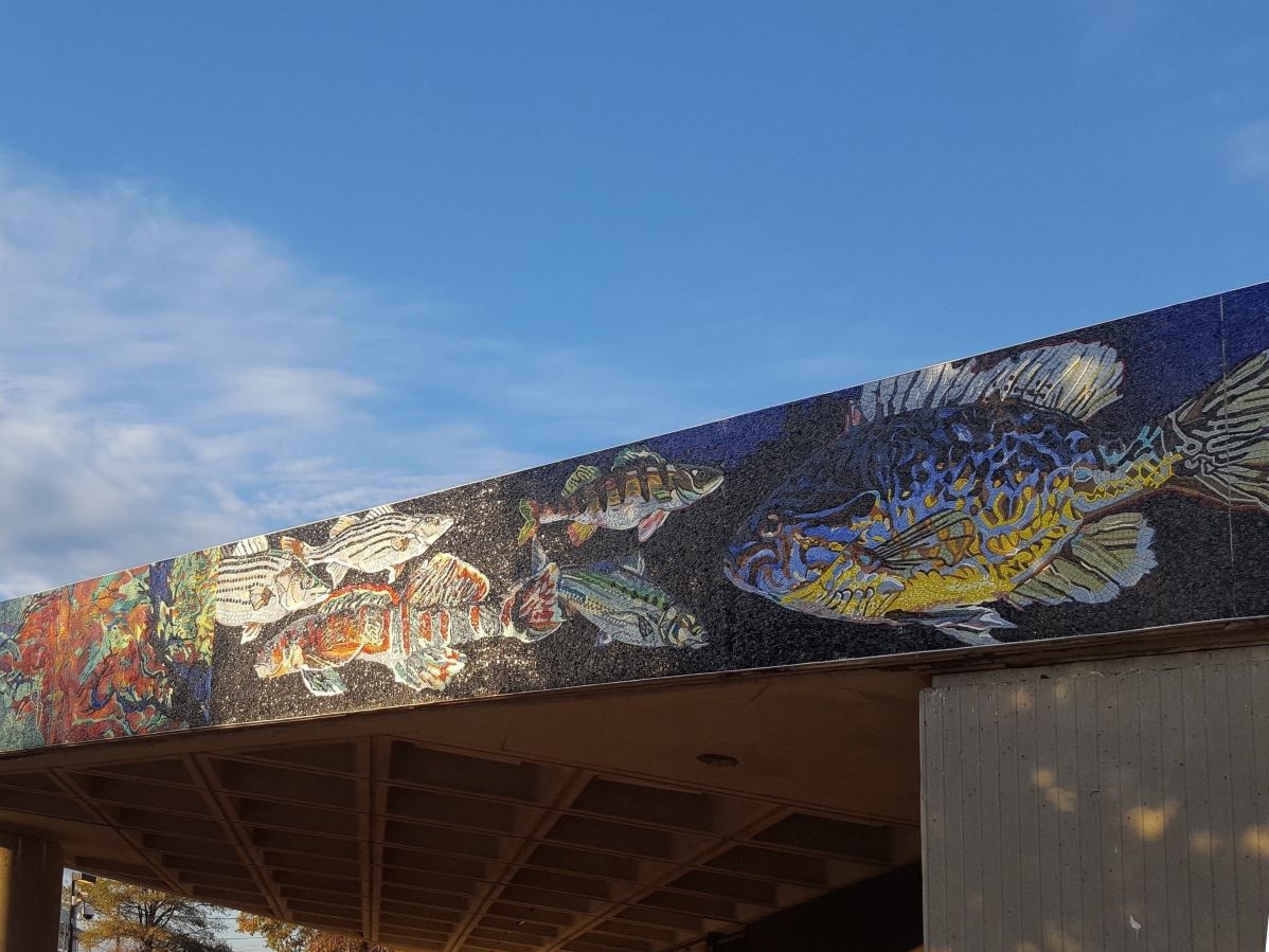 West and South Walls