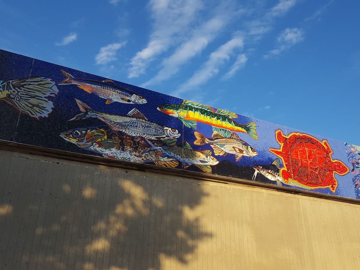 West and South Walls