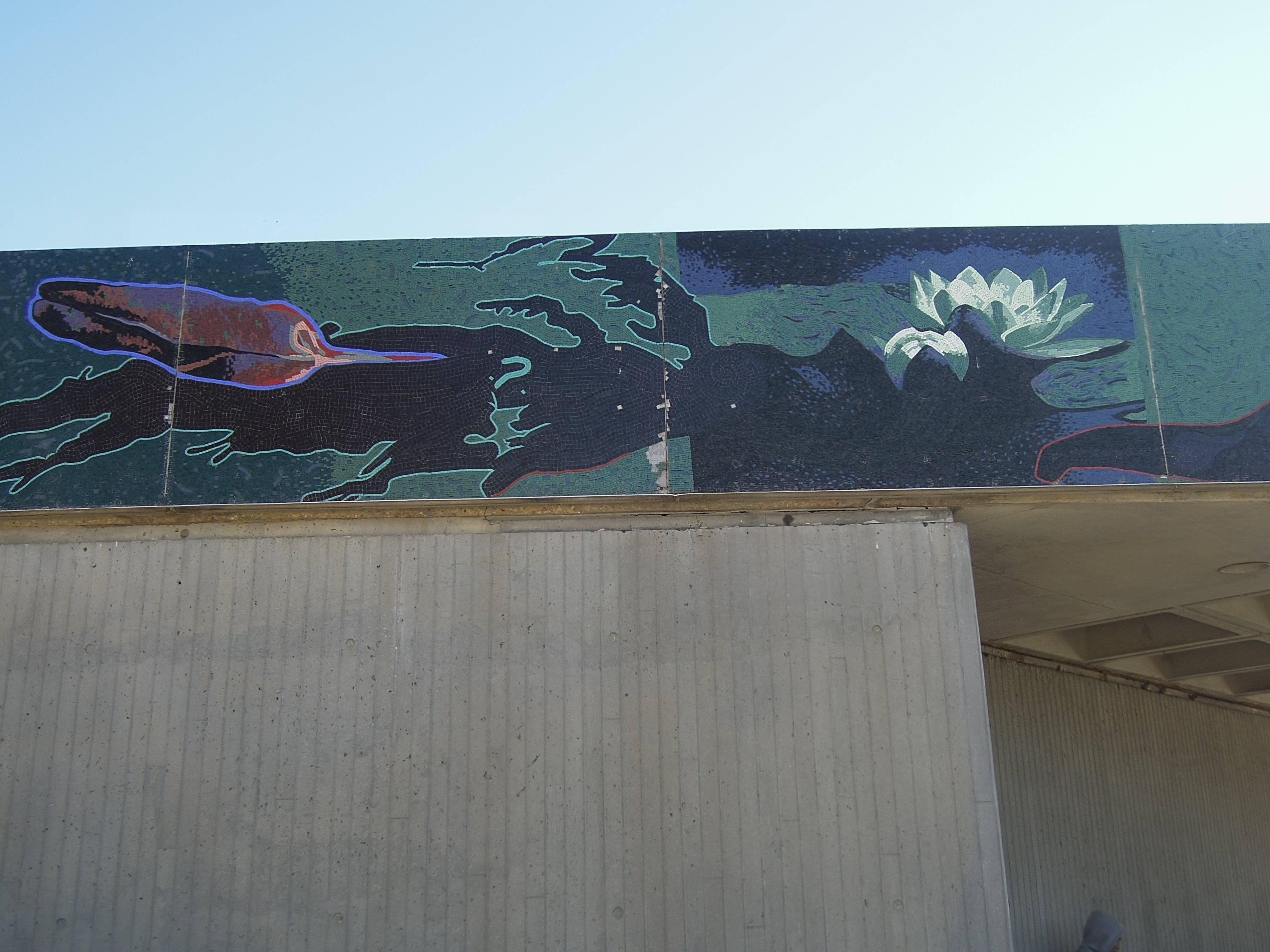 West and South Walls