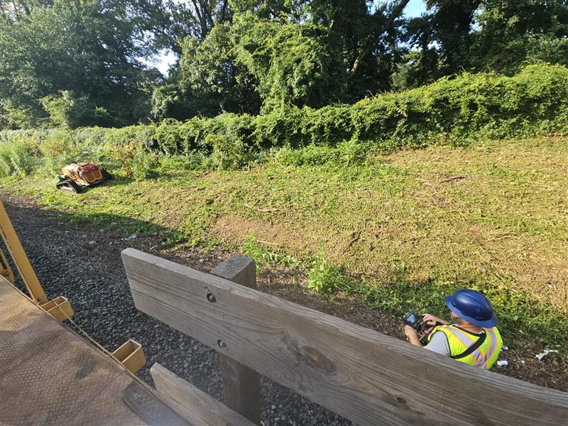 Removing vegetation means less intrusion on the track and better sightlines for operators to spot potential wildlife that may try to run onto the tracks.