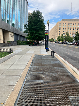 A picture of the sidewalk on D St. In the foreground, there is a grate while in the background, the sidewalk is fully concrete. The street is on the right side.