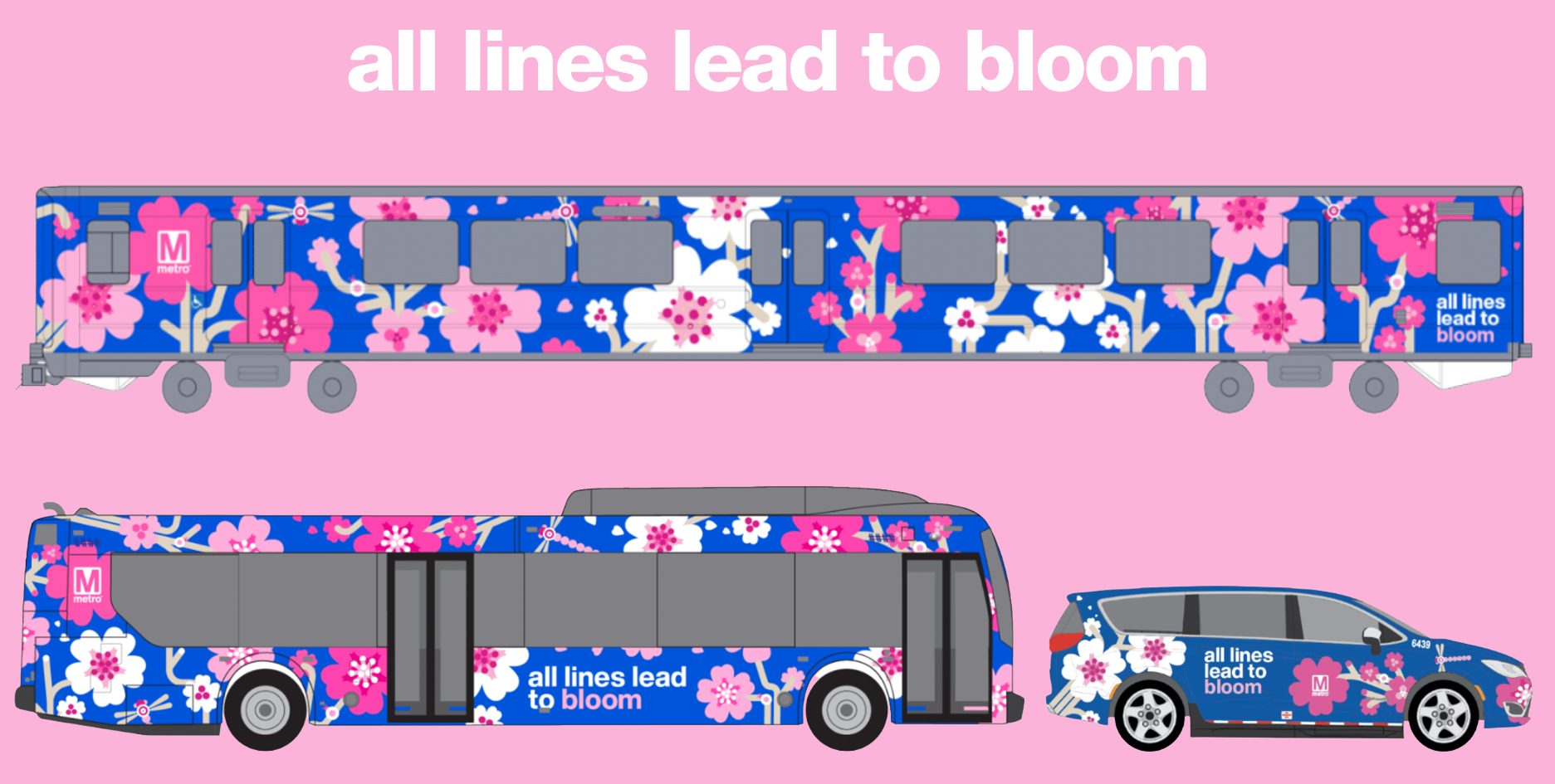 2026 Cherry Blossom Season